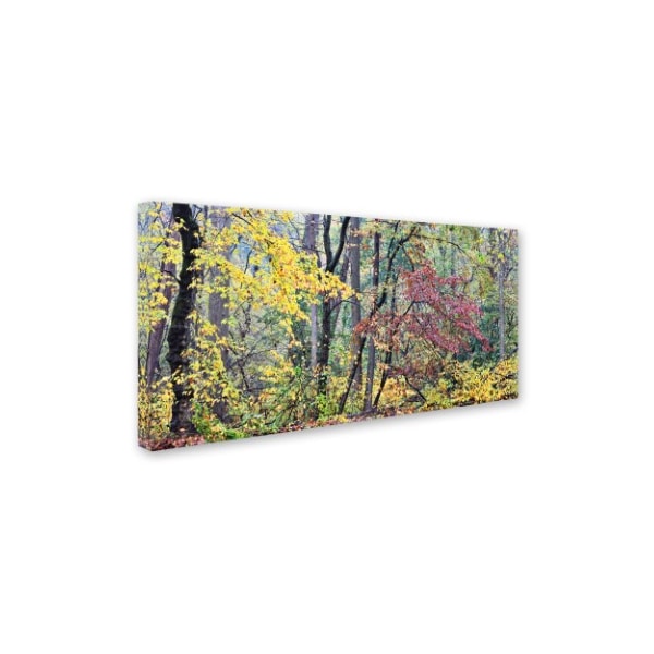 Gregory O'hanlon 'Autumn Mist' Canvas Art,12x24